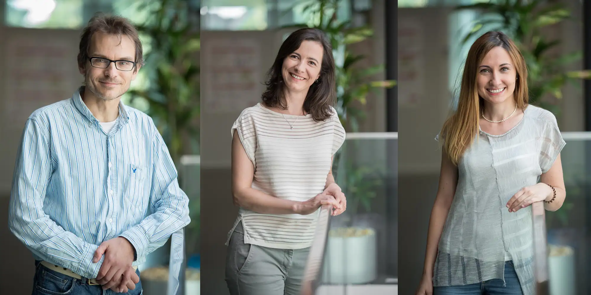 photo portrait dans des bureaux de 3 collaborateurs